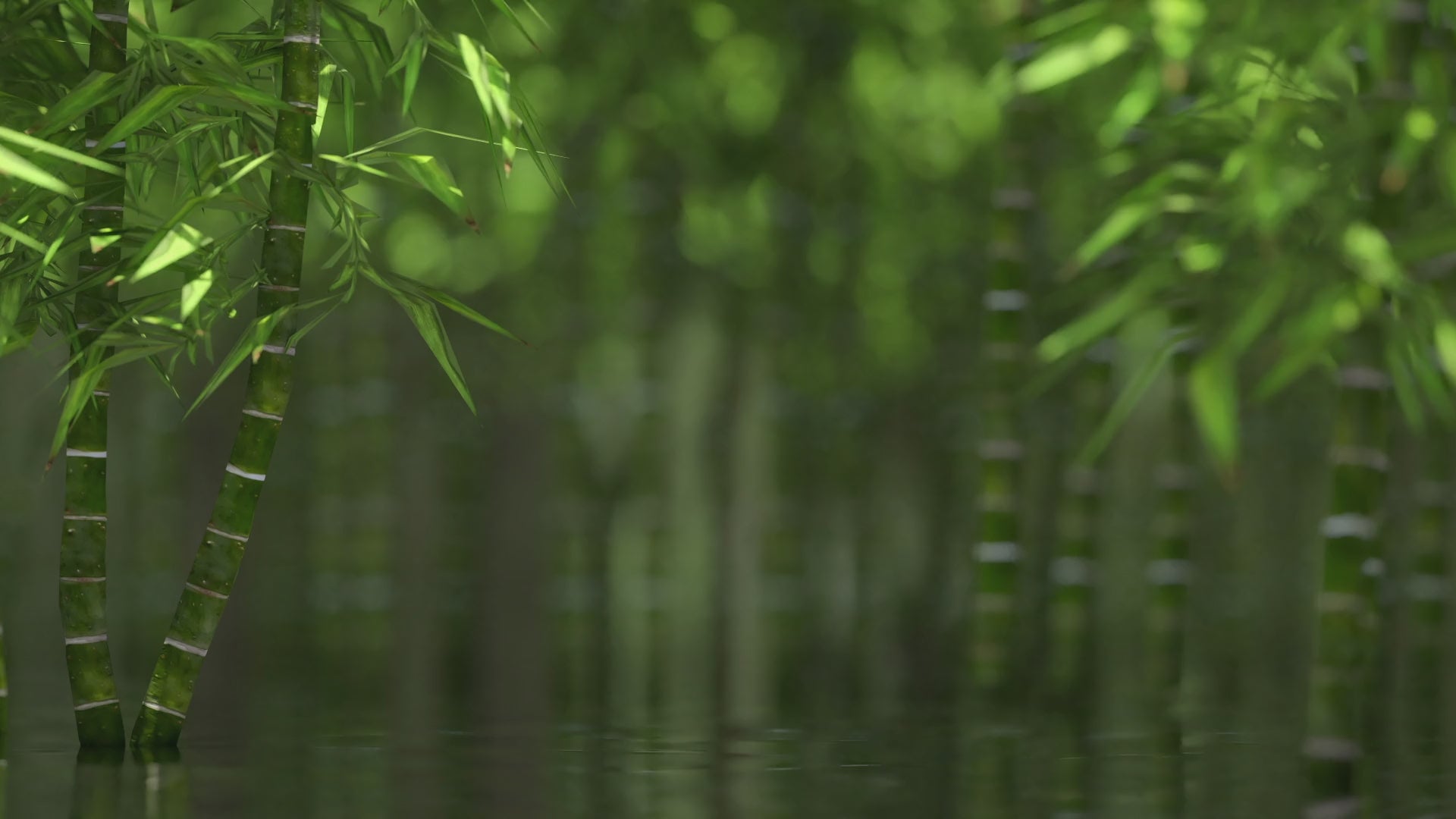 Carica video: